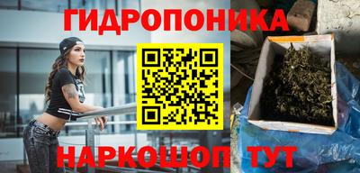 прущие крисы Аргун