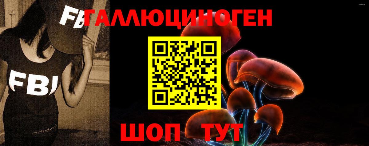 Псилоцибиновые грибы мухоморы  Борзя  Псилоцибиновые грибы Psilocybine cubensis 