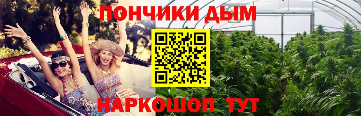 МАРИХУАНА сатива Борзя